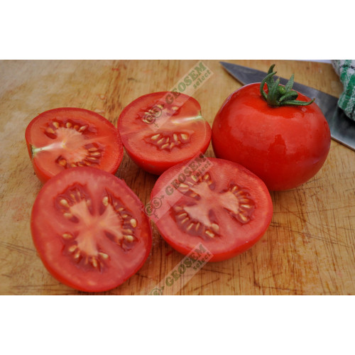 Geo F1 Tomate